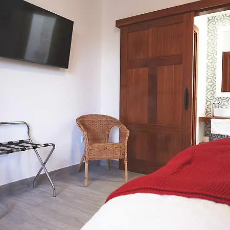 Delmas Emblematico 3*