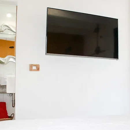 Delmas Emblematico 3* Haria