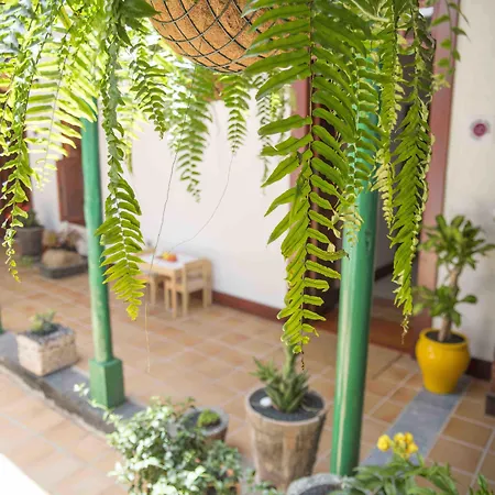 Aparthotel Delmas Emblematico 3*