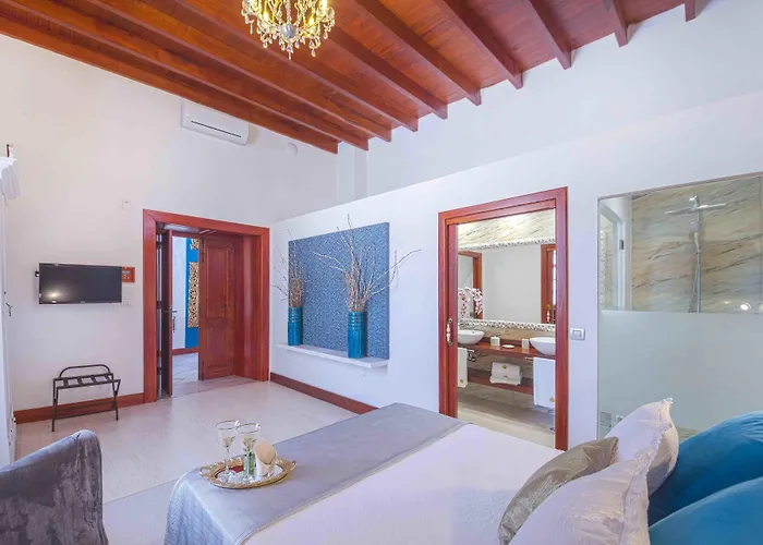 Delmas Emblematico 3* Haria