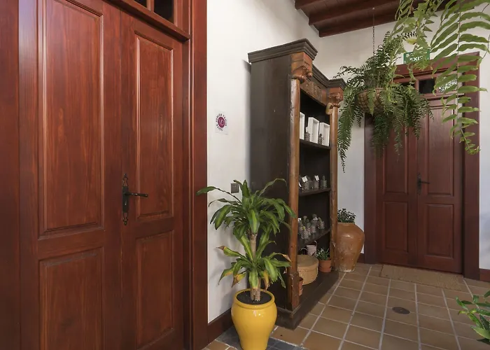 Delmas Emblematico 3* 海瑞亚