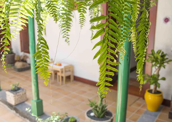 公寓式酒店 Delmas Emblematico 3*