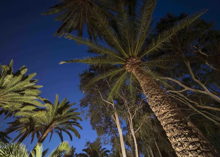 Delmas Emblematico Aparthotel Haria