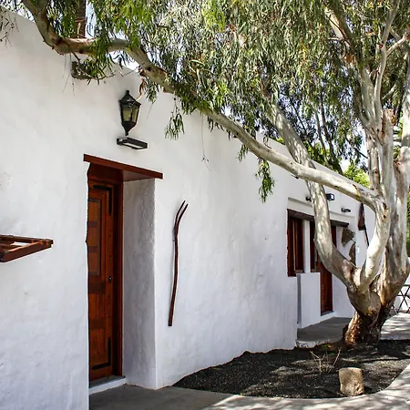 Delmas Emblematico 3*