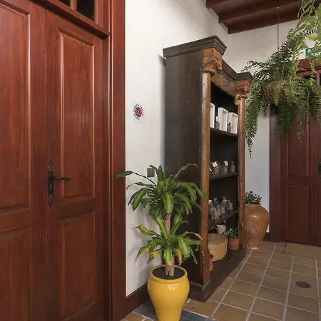 Delmas Emblematico 3* 海瑞亚