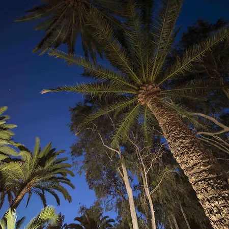 Delmas Emblematico 公寓式酒店 海瑞亚