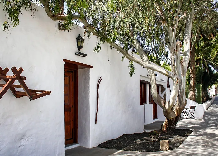 Delmas Emblematico 3*