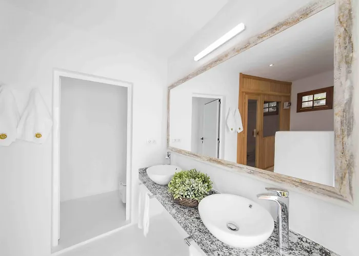 Delmas Emblematico Haria