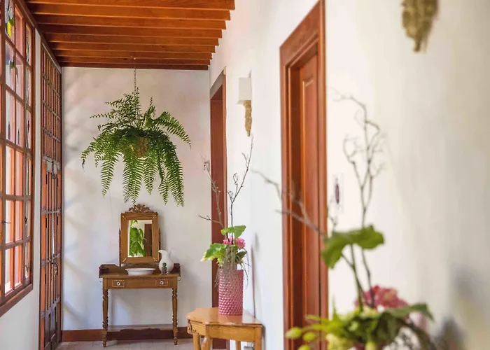 Delmas Emblematico 3*