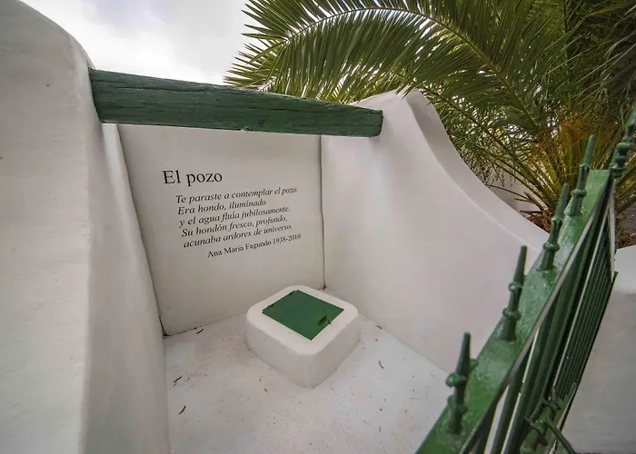 Delmas Emblematico Haria