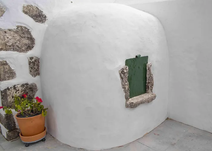 Delmas Emblematico Haria