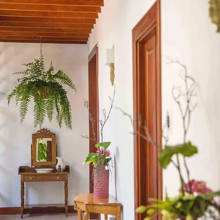 Delmas Emblematico 3*