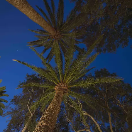 Delmas Emblematico アリア