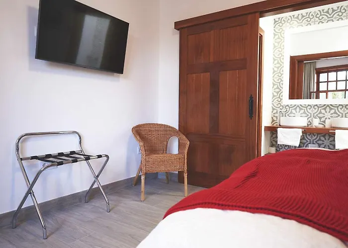 Delmas Emblematico 3*